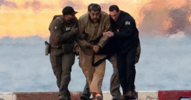 THE NOSTRADAMUS BUTTERFLY EFFECT